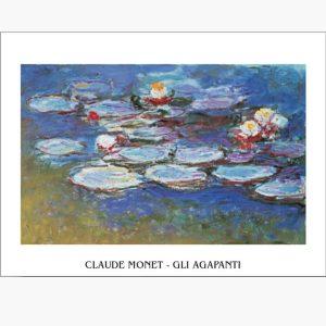 Αντίγραφα Ξένων Ζωγράφων - Claude Monet - Gli Agapanti