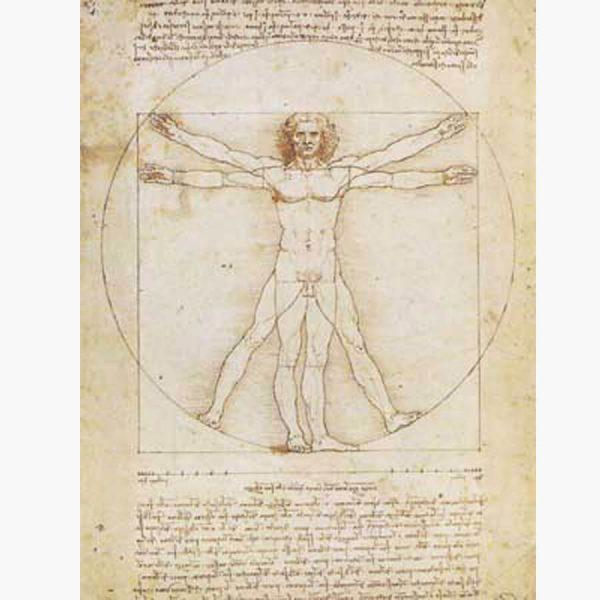 Αντίγραφα Ξένων Ζωγράφων - Leonardo da Vinci - Vitruvian man