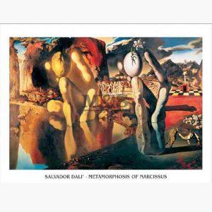 Αντίγραφα Ξένων Ζωγράφων - Salvador Dali - Metamorphosis Of Narcissus