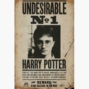 Κινηματογραφικές Αφίσες - Harry Potter, Undesirable No 1