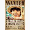 Τηλεοπτικές Σειρές - One Piece, Wanted